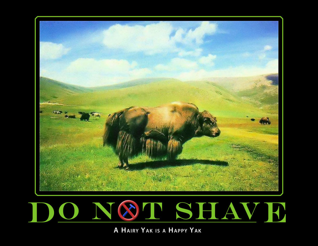 Do Not Shave, A hairy Yak is a Happy Yak